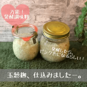 玉ねぎ麹の写真
（万能！発酵調味料。発酵したら、ピンク色になるらしい！）