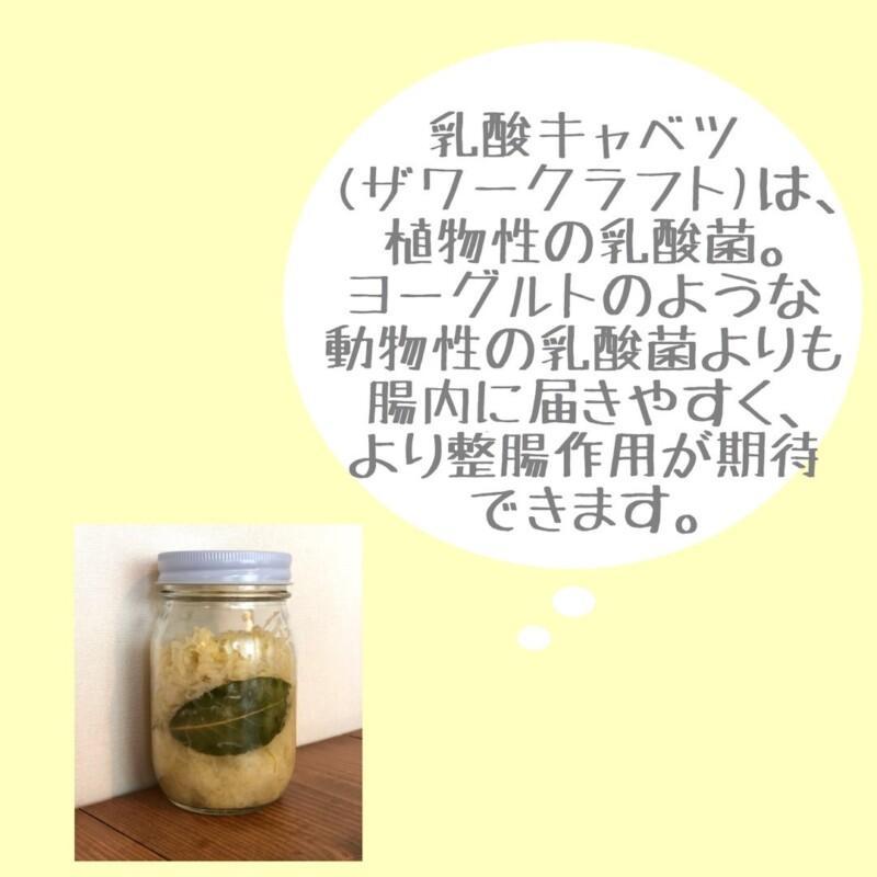 乳酸キャベツ（ザワークラフト）は、植物性の乳酸菌。ヨーグルトのような動物性の乳酸菌よりも腸内に届きやすく、より整腸作用が期待できます。