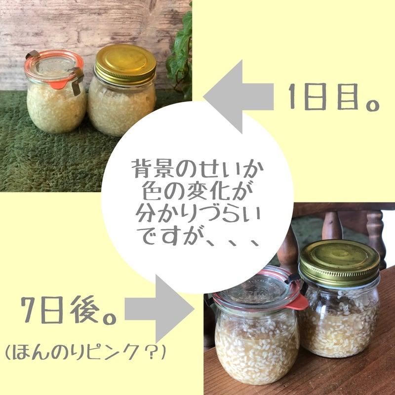 7日後、ほんのりピンクに。